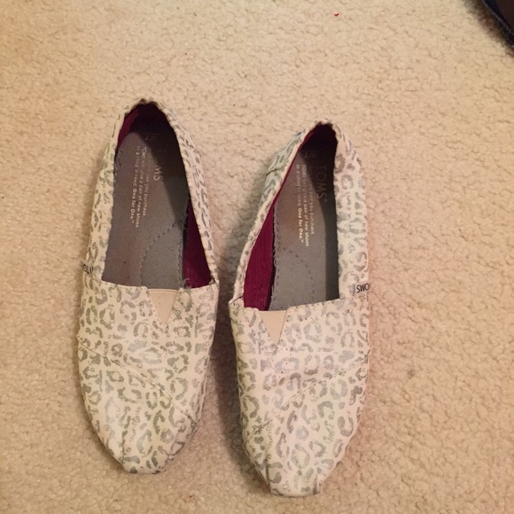 Snow leopard Toms