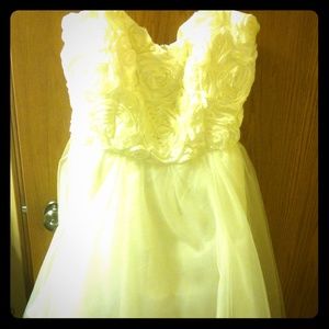 Plus size Homecoming/ Prom dress Bundle