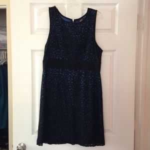 Black lace over blue Cocktail dress