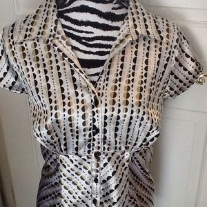 Shiny career blouse!