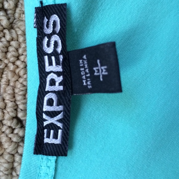 Express Mint Fit and Flare Dress - Picture 4 of 4