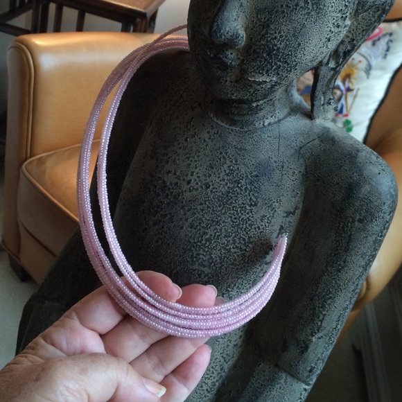 ๐ HOST PICK๐NWOT Beautiful CHOKER NECKLACE ๐ - Picture 4 of 4