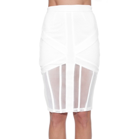 Nasty Gal- Rehab caged mesh skirt