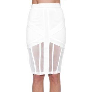 Nasty Gal- Rehab caged mesh skirt