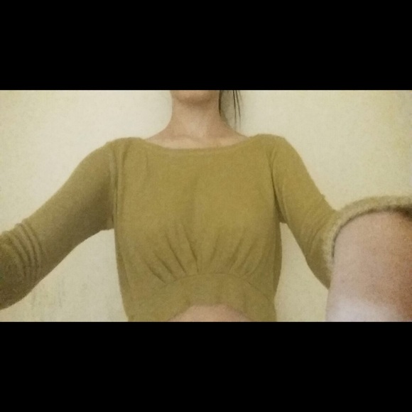 Anthropologie Bordeaux green crop top sweater