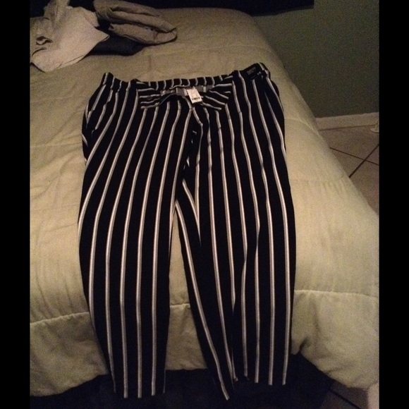 Career pants