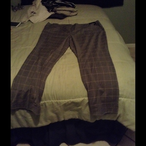 Career pants