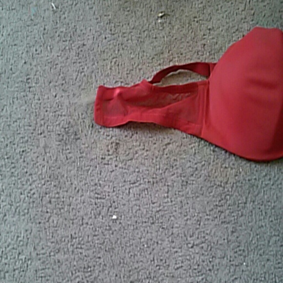 Size 36C bra - Picture 2 of 3