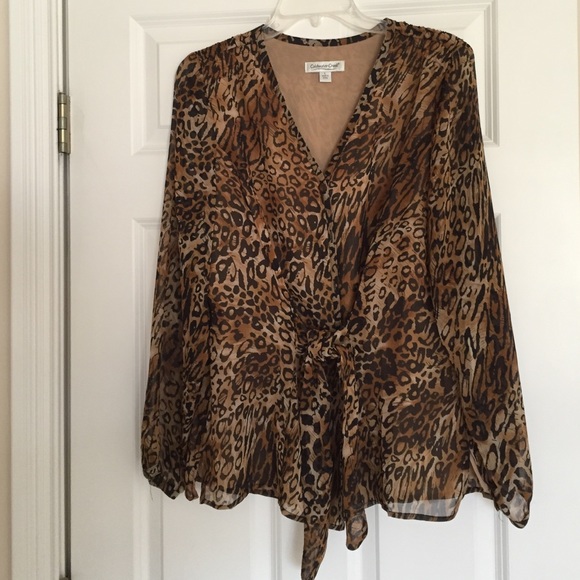 SOLD ❗️❗️Coldwater Creek blouse