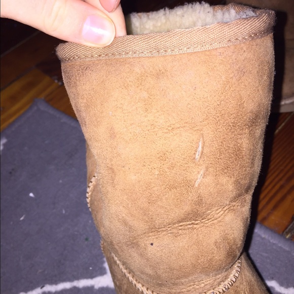 Chestnut uggs - Picture 3 of 4