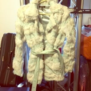 Rabbit Fur