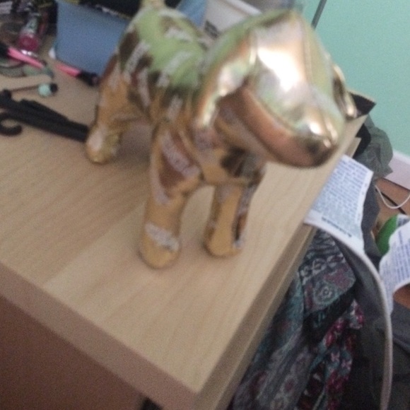 Victoria's secret dog