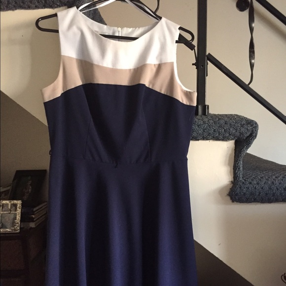 Knee length size 12P Dress Barn dress