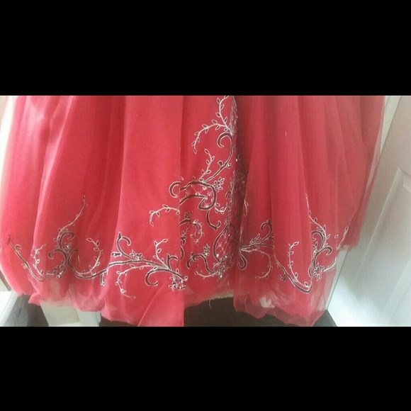 Sweet 16 or Prom Dress!! - Picture 4 of 4