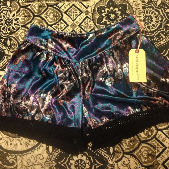 Band of gypsies velvet shorts. BNWT