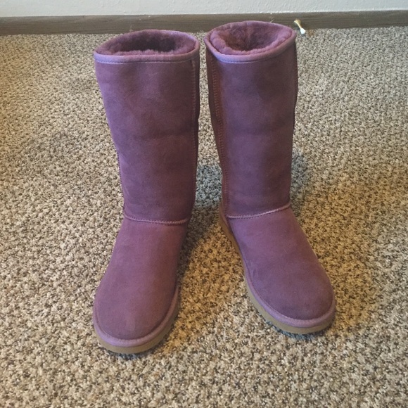 purple uggs tall purple uggs tall