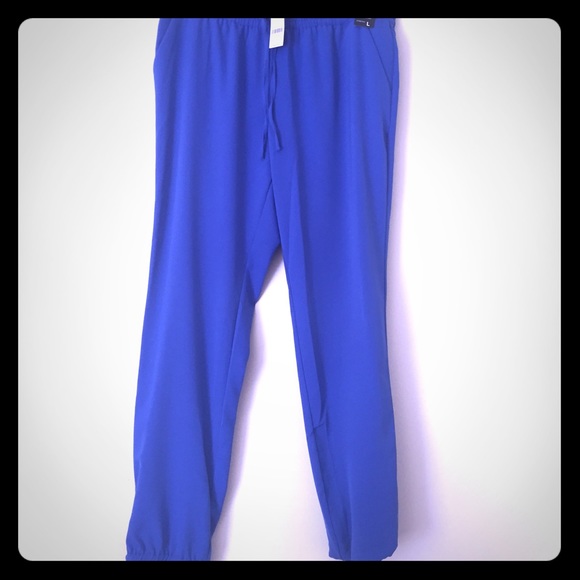 NY & Company Pants