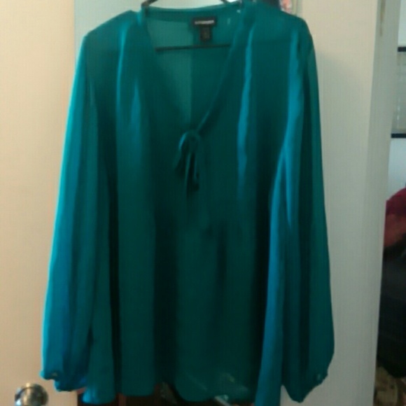 Lane Bryant sheer top