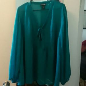 Lane Bryant sheer top