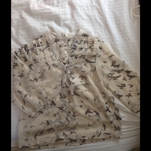 SALE!!! Birds in Flight! NWT sheer top! - Picture 2 of 4