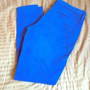 American eagle royal blue pants