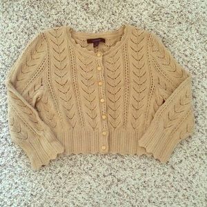 Express Crop Sweater