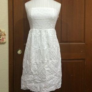 Fitted, Eyelet tube dress, double layered