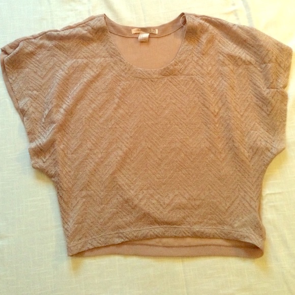 Beige Pointelle Front Crop Top
