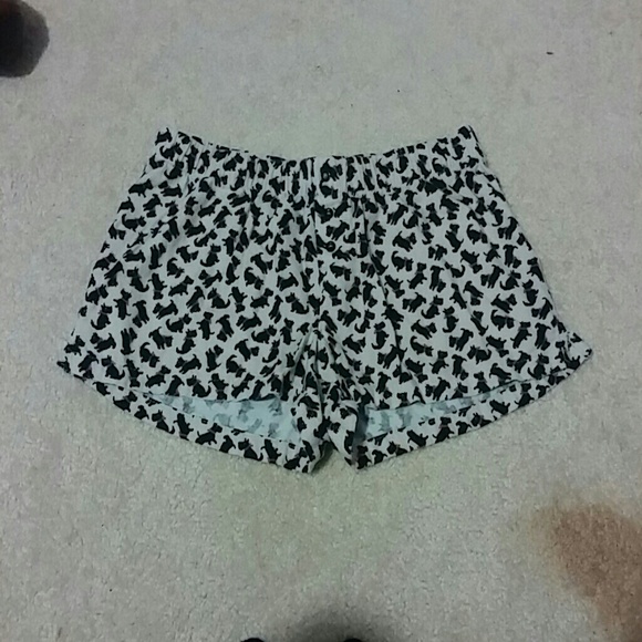 Puppy shorts
