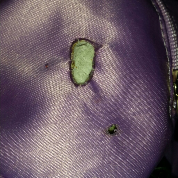 ADD PICS - Picture 4 of 4