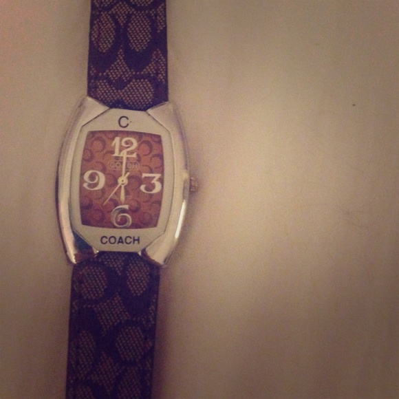 Coach Brown Watch