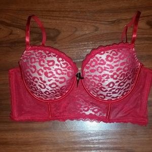 38C Daisy Fuentes leopard lace bra