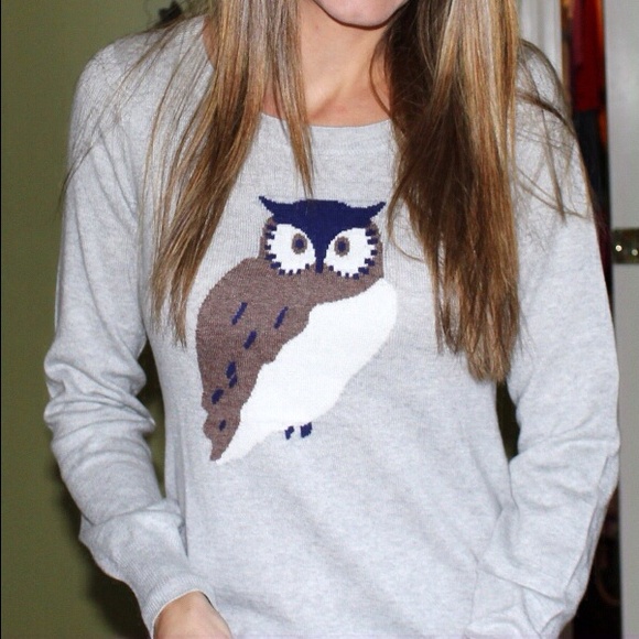 💟HP💟 Bloggers Favorite Owl Sweater - Picture 3 of 4