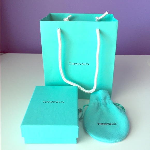 Tiffany & Co. pouch, box, and/or bag
