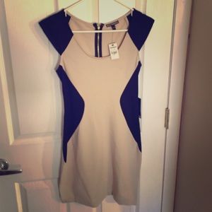 Nude and Black Fitted Dress