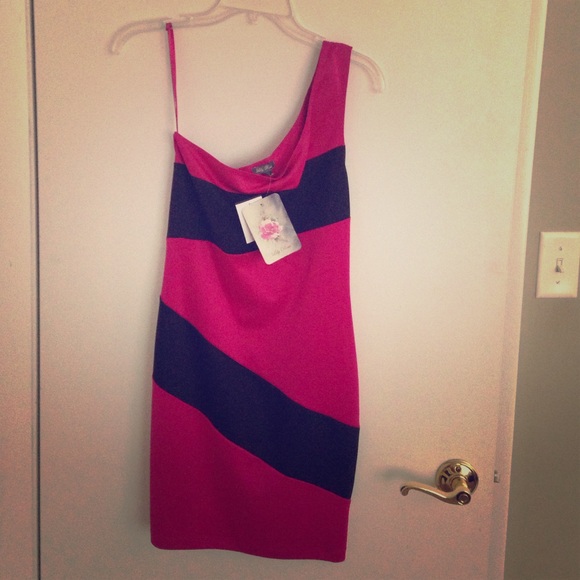 Lily Rose cocktail dress