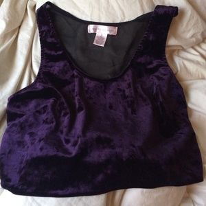 Dark Purple Velvet & Mesh Crop Top