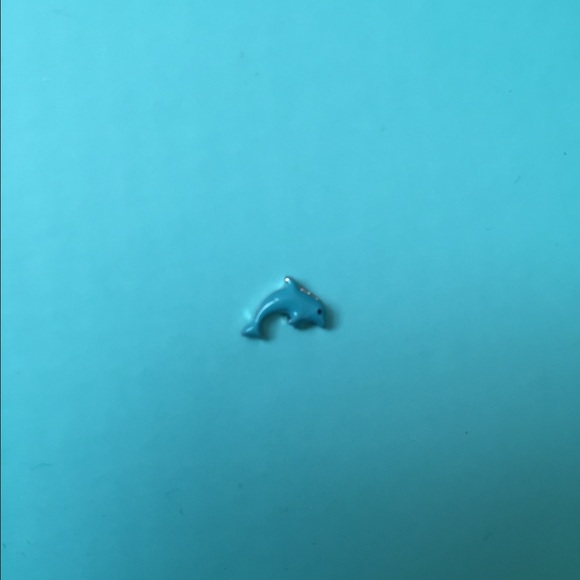 Dolphin, cowboy boot, and silver butterfly