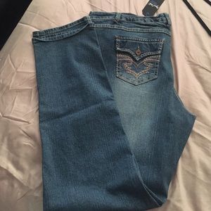 Alloy.com  PLUSSIZE tall skinny jeans
