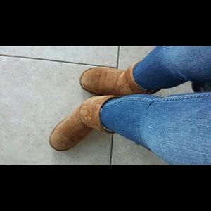 Chestnut short UGGs