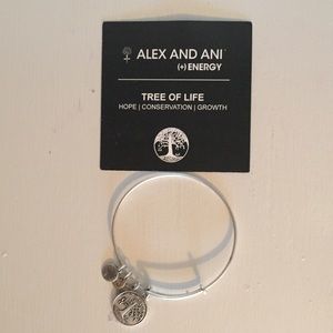 Alex and Ani bracelet