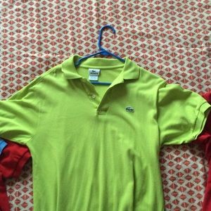 Men's Lacoste polo