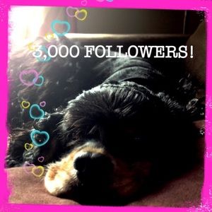 Welcome to my closet! Thank you for following.