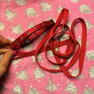 Small Dog leash & collar