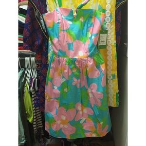 NWT Lilly Pulitzer Richelle Dress