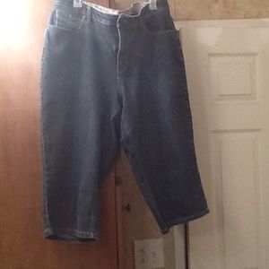 Size 20 Cato capris