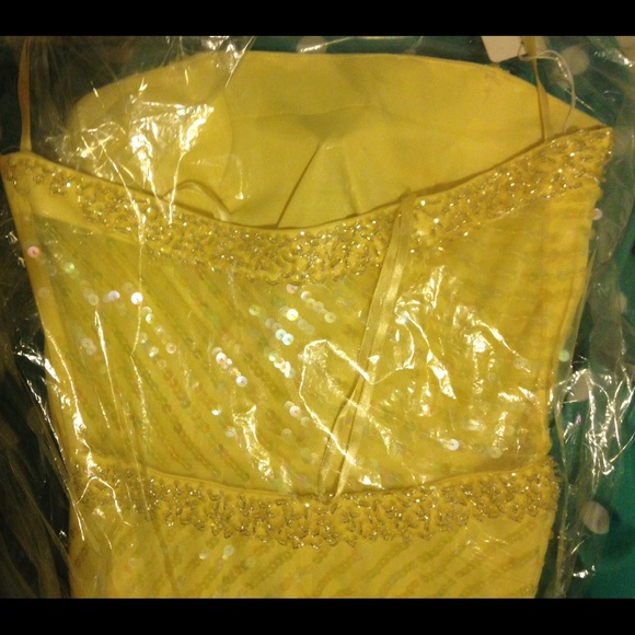 Prom Dress - Picture 4 of 4