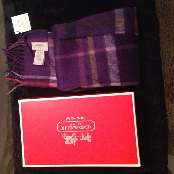 Coach cashmere scarf