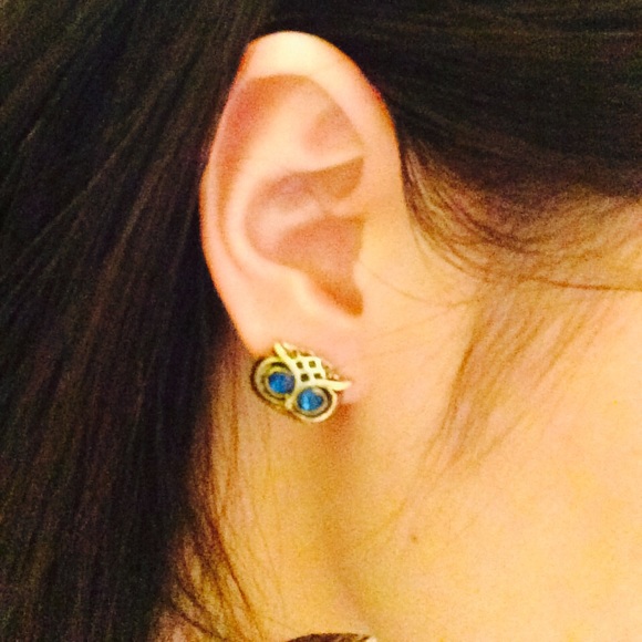 Owl earrings!!