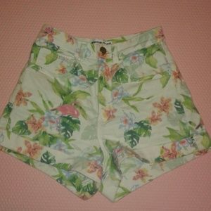 American apparel high waisted shorts